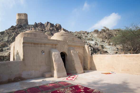 Excursion sur la côte est des Émirats arabes unis