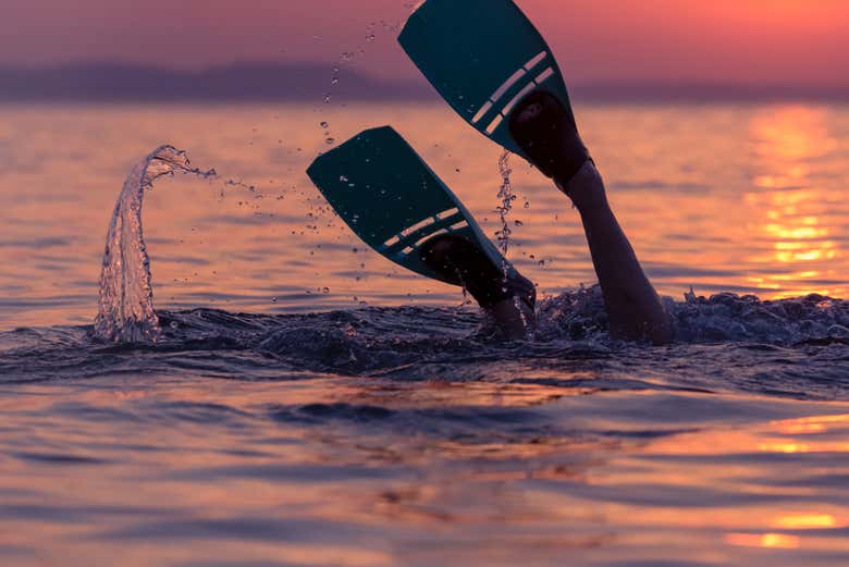 Snorkeling golfe d'Oman