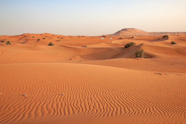 Dans le désert de Dubaï