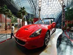 Ferrari World, Ferrari d'exposition