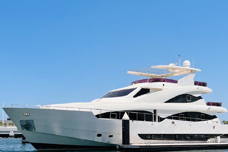 Naviguez sur un yacht de luxe flambant neuf
